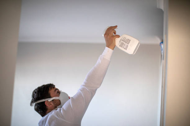 Best Water Damage Restoration  in Bodfish, CA