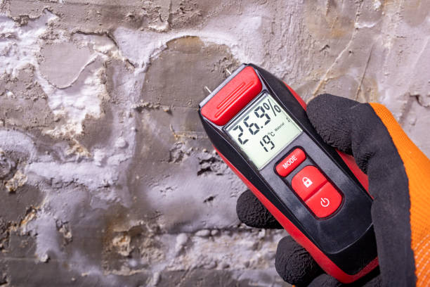 Attic Mold Removal in Bodfish, CA