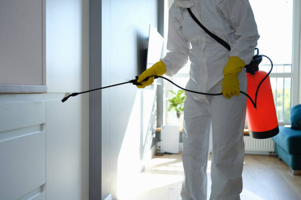 Best Mold Remediation  in Bodfish, CA